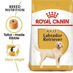 Royal Canin Labrador Retriever Adult Dog Food 12kg bag available at Keans Claremorris