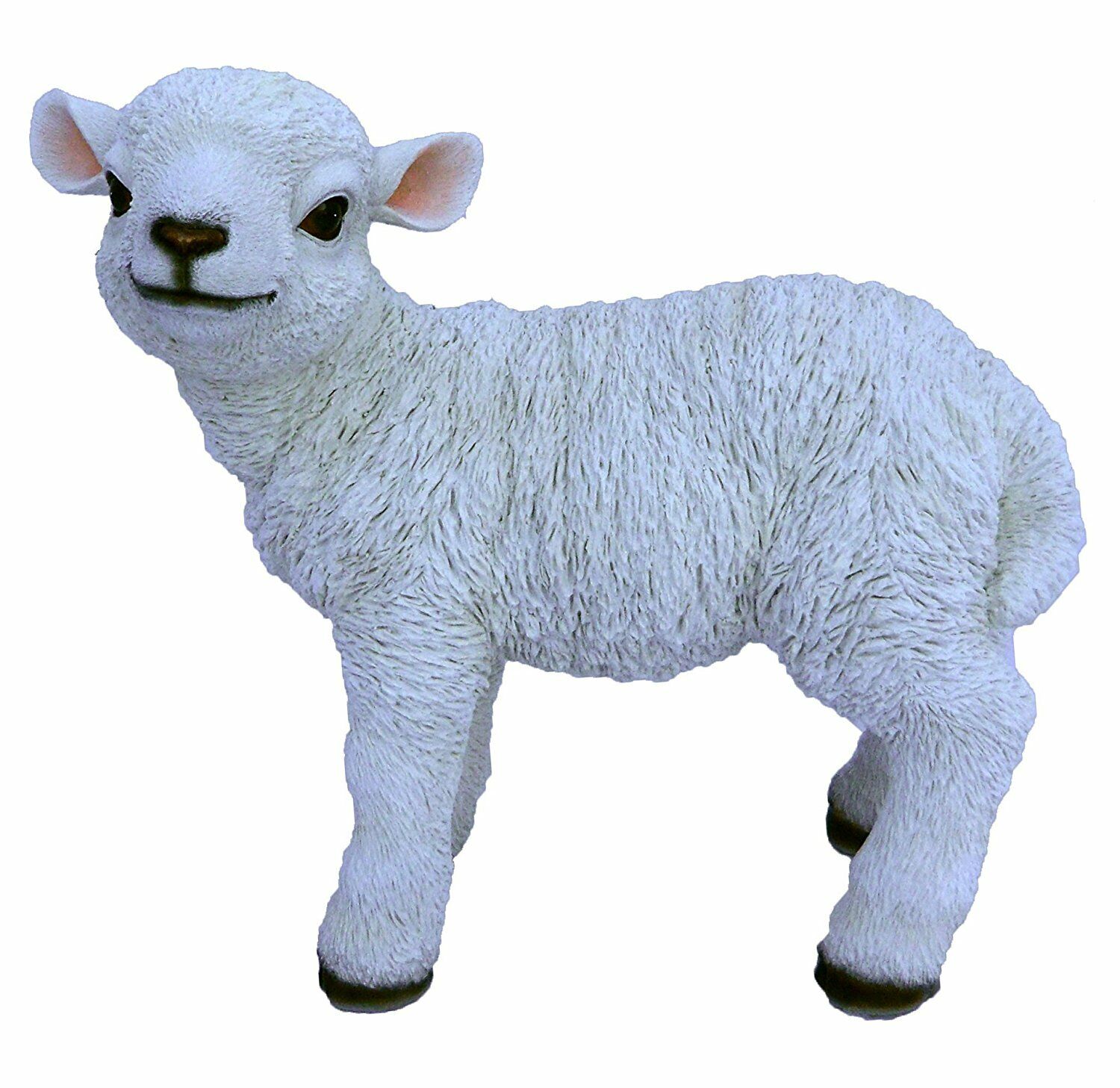 RL Standing Lamb B