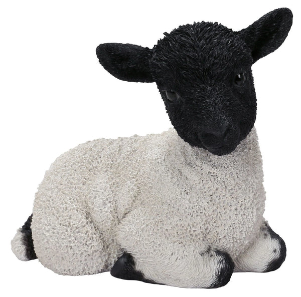 Sitting Black Face Lamb - Garden Ornament Keans Claremorris