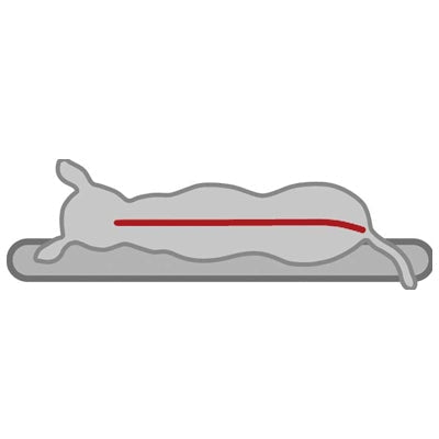Orthopaedic Oval Grey Dog Bed Cushion for Pets - Supportive Comfort | Keans Claremorris