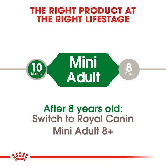 Royal Canin Mini Adult Dog Food 8kg bag – Small breed nutrition, available at Keans Claremorris
