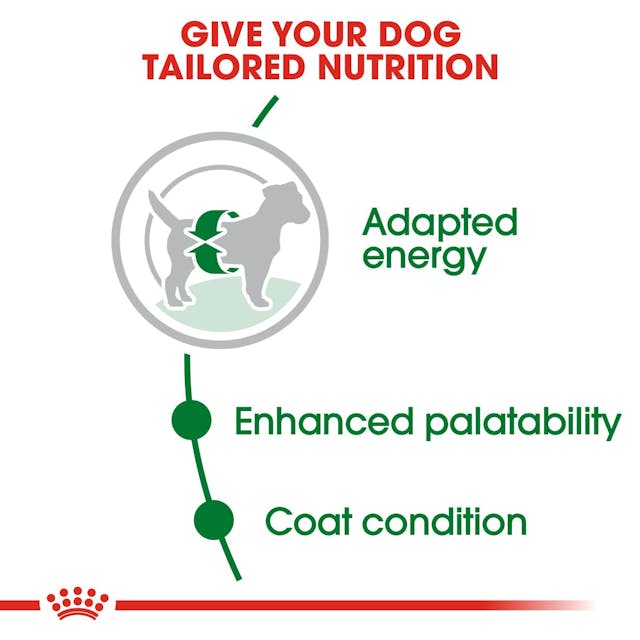 Royal Canin Mini Adult Dog Food 8kg bag – premium nutrition for small breeds | Available at Keans Claremorris