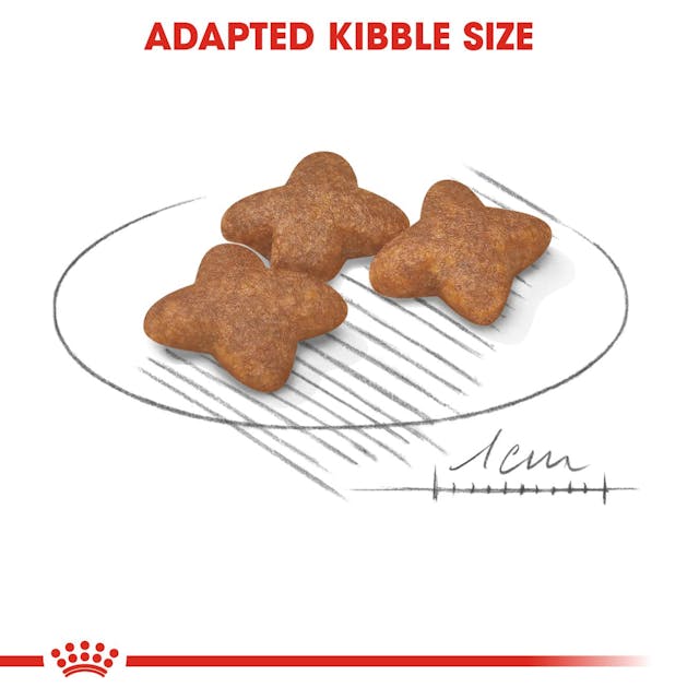 Royal Canin Mini Adult Dog Food 8kg bag – small breed nutrition, available at Keans Claremorris