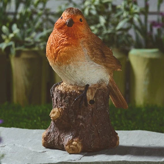 Robin Song - Image 1