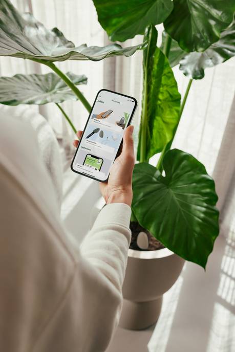 Hand holding phone showing Smart Pebble plant care app next to large green potted plant in bright room.