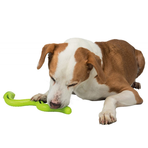 Snack Snake dog toy in lime green with treat slot, squeaker, and throw feature – 42cm long | Keans Claremorris