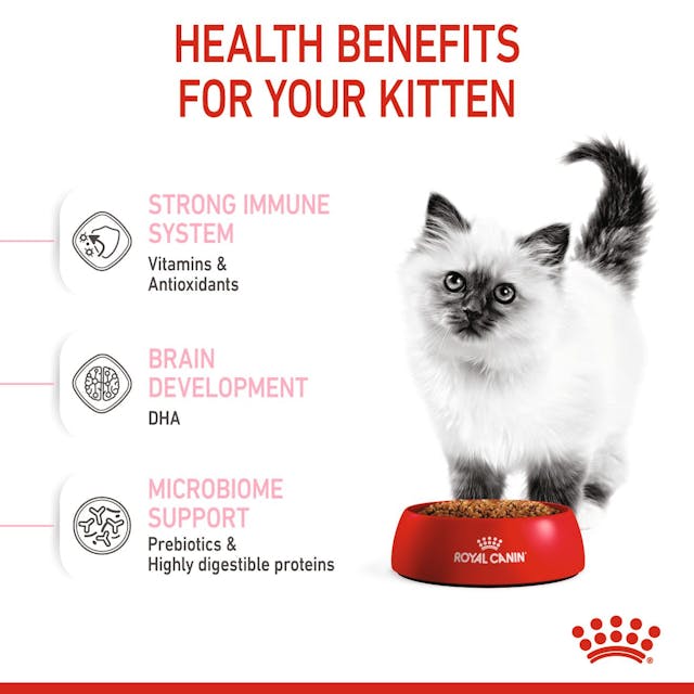 Royal Canin Kitten Food 2kg bag for healthy growth, available at Keans Claremorris store.