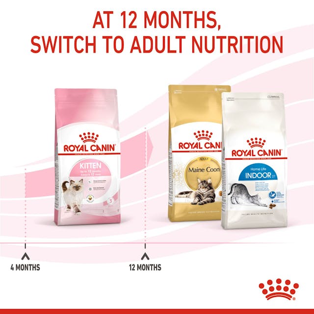Royal Canin Kitten Food 2kg bag - nutritious growth formula for kittens, available at Keans Claremorris.