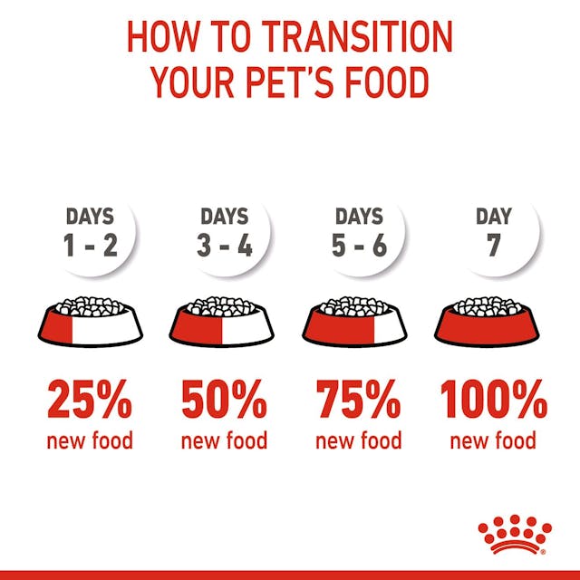 Royal Canin Maxi Puppy/Junior 15kg dog food bag, premium nutrition for large breed puppies, available at Keans Claremorris.