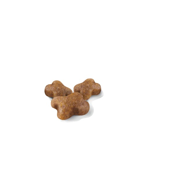 Royal Canin Kitten Food 2kg bag for healthy growth, available at Keans Claremorris.