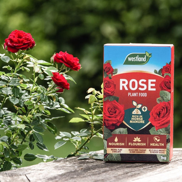 Rose Food 1Kg