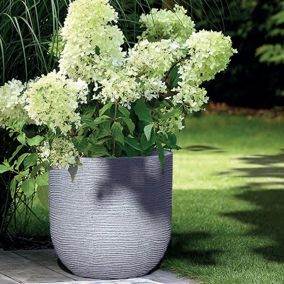 Arava Alpine Grey - Image 2