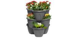 Strawberry Planter - 3 Pack, Anthracite