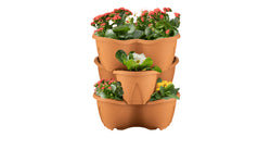 Strawberry Planter - 3 Pack, Terracotta