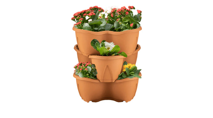 Strawberry Planter - 3 Pack, Terracotta - Image 2