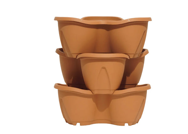 Strawberry Planter - 3 Pack, Terracotta