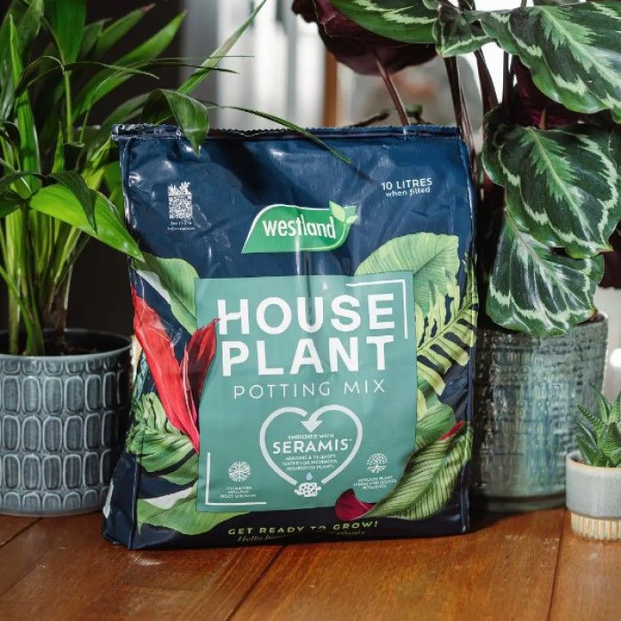 Westland Houseplant Potting Mix Peat Free 10L bag, eco-friendly soil for indoor plants, available at Keans Claremorris