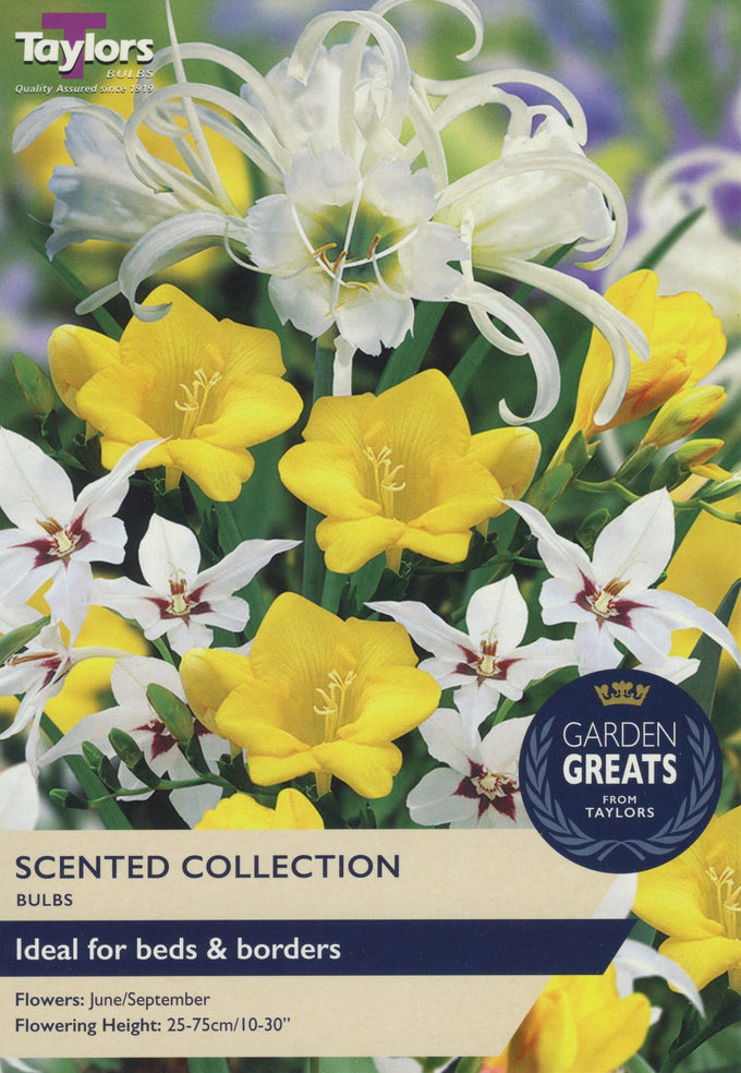 Taylors Scented Collection Keans Claremorris