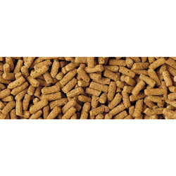 Tetra Wheatgerm Sticks Fish Food for cold weather, nutrient-rich, easy-to-digest, low waste formula – available at Keans