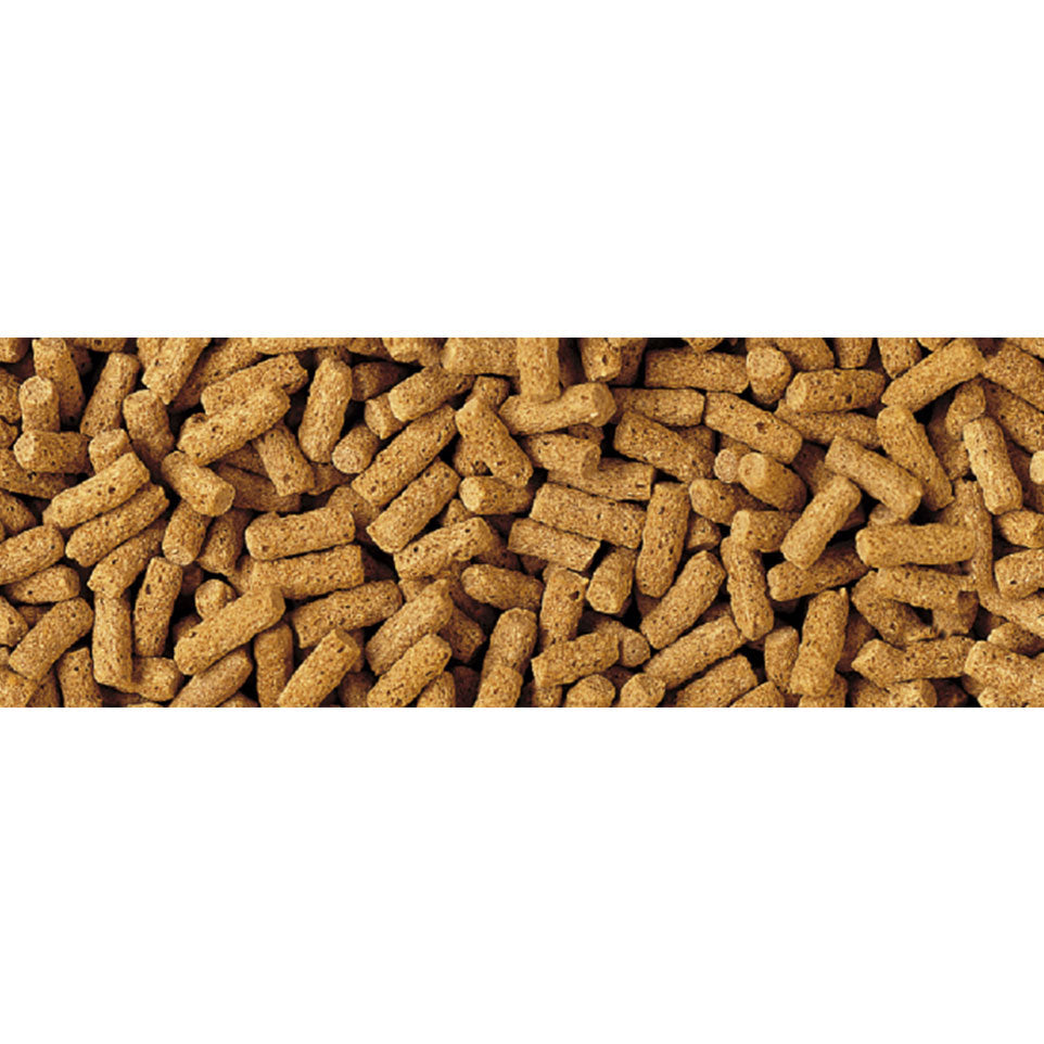 Tetra Wheatgerm Sticks Fish Food for cold weather, nutrient-rich, easy-to-digest, low waste formula – available at Keans