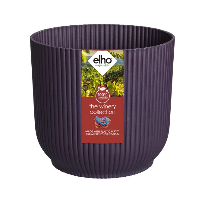 The Winery Collection Deep Purple - Image 2