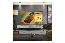 LG 43'' QNED evo AI QNED87 MiniLED 4K Smart TV 2025 43QNED87A6D.AEK