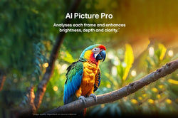 LG 100'' QNED Evo AI Mini LED QNED86A 4K Smart TV