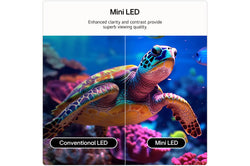 LG 75" QNED AI QNED7E Mini LED 4K Smart TV| 75QNED7EB3A.AEI