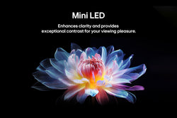 LG 100'' QNED Evo AI Mini LED QNED86A 4K Smart TV