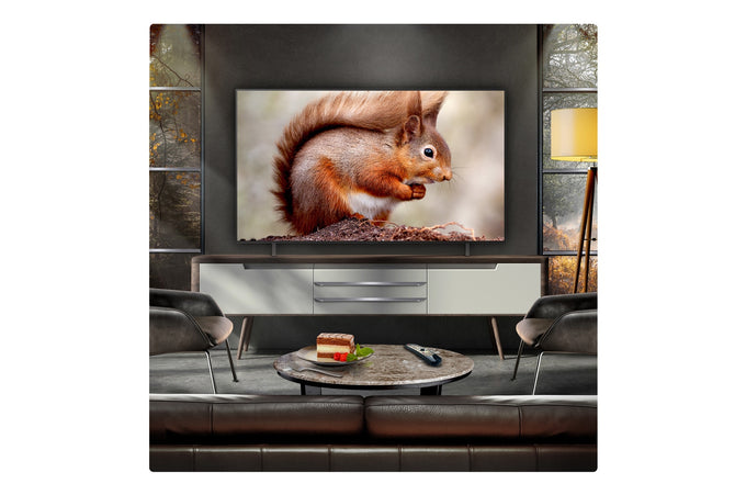 LG 65'' OLED AI B5 4K 120Hz Smart TV AI - Image 8