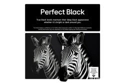 LG 65'' OLED AI B5 4K 120Hz Smart TV AI