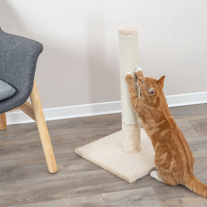 Cat Scratching Post Beige - Image 2
