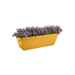 Barcelona Trough Honey Yellow