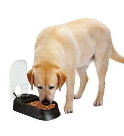 Pet Automatic Food Dispenser with programmable timer for pets, available at Keans Claremorris store.