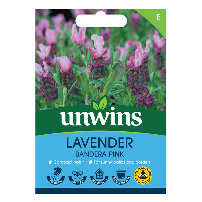 Lavender Bandera Deep Pink - Image 1