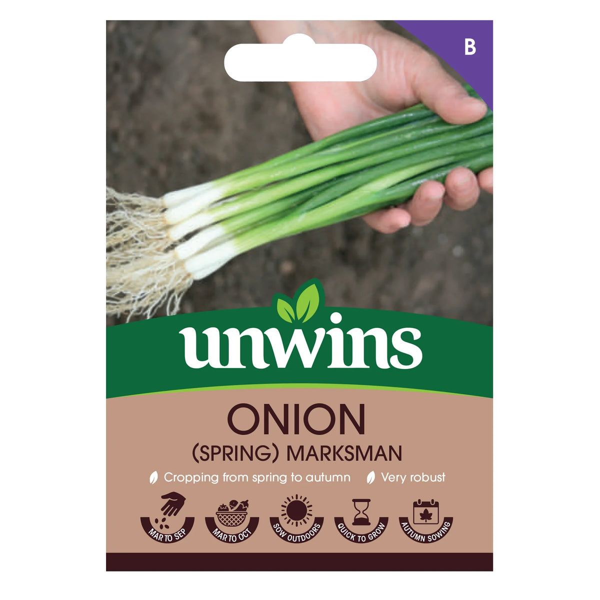 Hand holding fresh green spring onions with roots, on Unwins Onion (Spring) Marksman seed packet.