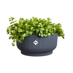 Vibes Fold Bowl 25cm Anthracite