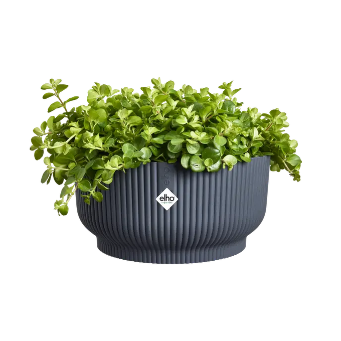 Vibes Fold Bowl 25cm Anthracite - Image 3