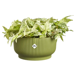 Vibes Fold Bowl 25cm Fern Green
