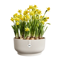Vibes Fold Bowl 25cm Linen White
