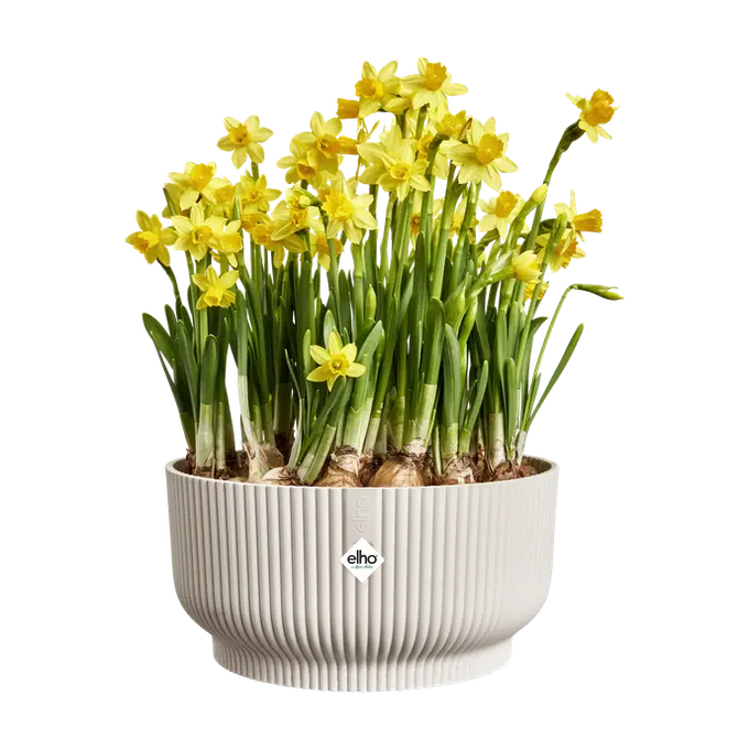 Vibes Fold Bowl 25cm Linen White - Image 3