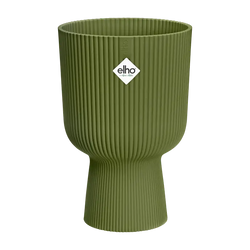 Vibes Fold Coupe Fern Green