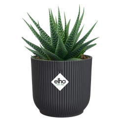 Vibes Fold Round Mini Anthracite