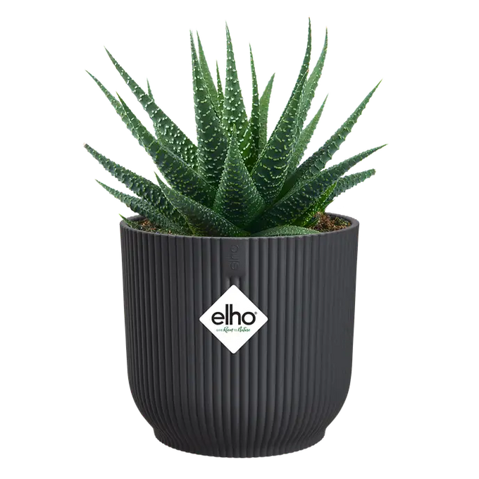 Vibes Fold Round Mini Anthracite - Image 3