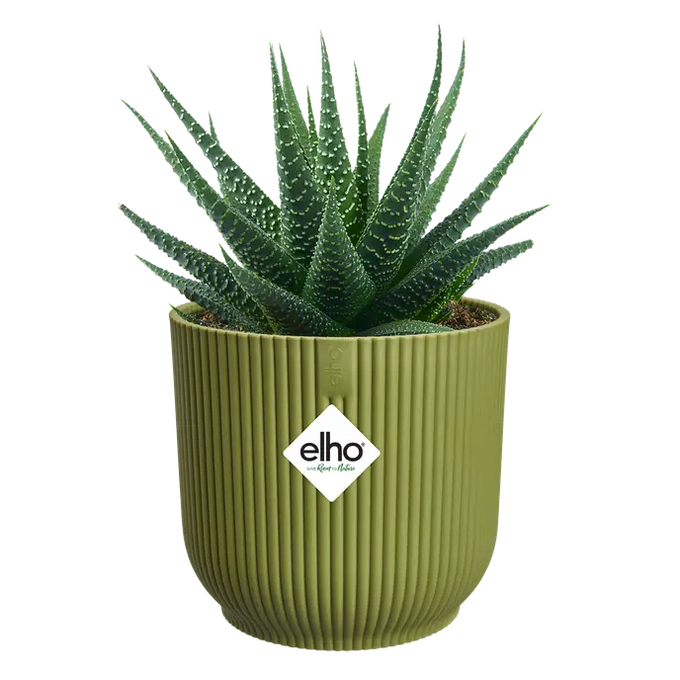 Vibes Fold Round Mini Fern Green - Image 3