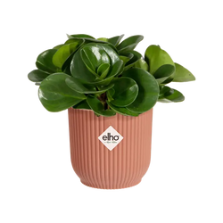 Vibes Fold Round Mini 7cm Delicate Pink compact mirror, stylish and portable, available at Keans Claremorris.