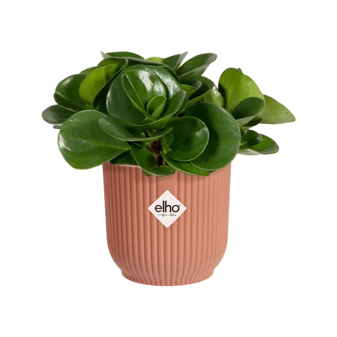 Vibes Fold Round Mini 7cm Delicate Pink compact mirror, stylish and portable, available at Keans Claremorris.