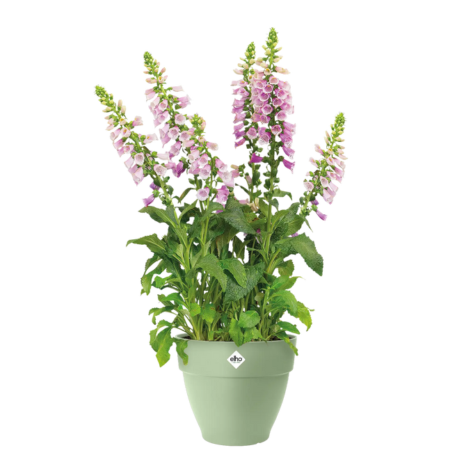 Vibia Campana Round Pistachio Green - Image 3