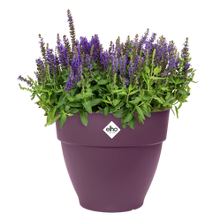 Vibia Campana Round Maple Purple