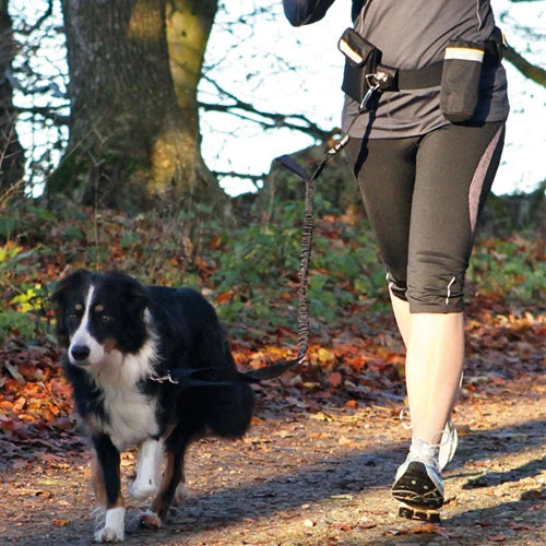 Waist belt with lead, elastic waistband, shock absorber, reflective stripes, pockets, quick-release buckle – Keans